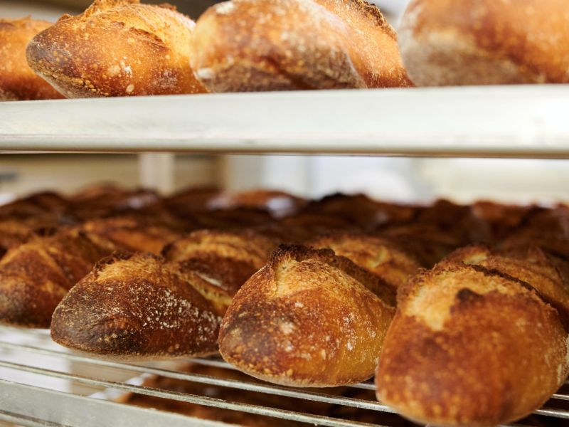 thomas mauch lXf1lq1faOE unsplash min