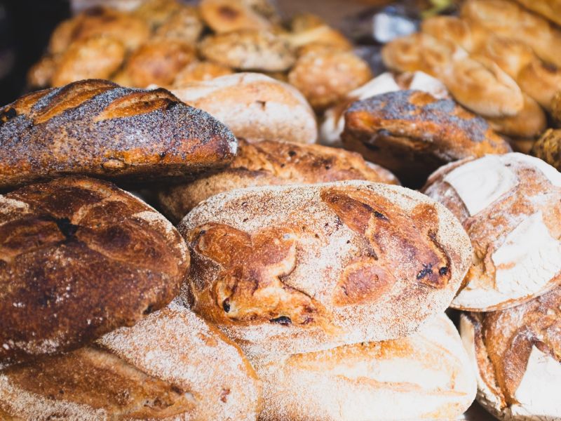 bruno aguirre b ck8dwc5SI unsplash min